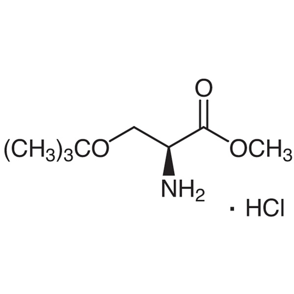 H-Ser(tBu)-OMe·HCl CAS 17114-97-5 Purity >98.0% (TLC)