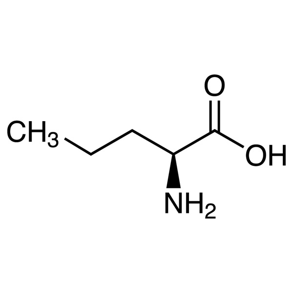 L-Norvaline CAS 6600-40-4 Assay 98.5%-101.0% (Titration) Factory